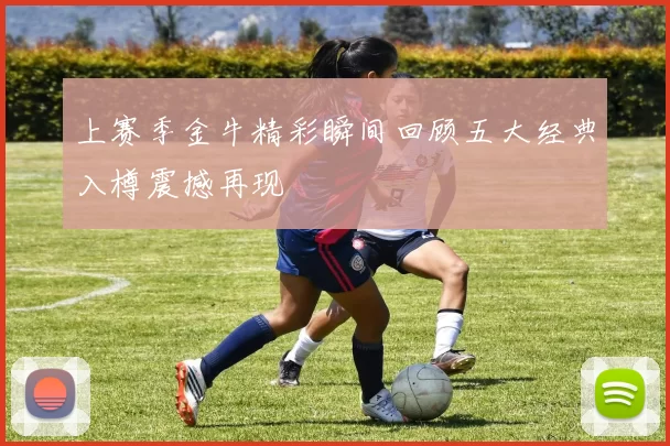 上赛季金牛精彩瞬间回顾五大经典入樽震撼再现