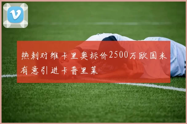 热刺对维卡里奥标价2500万欧国米有意引进卡普里莱