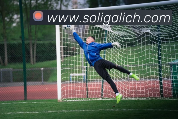 App 展示图